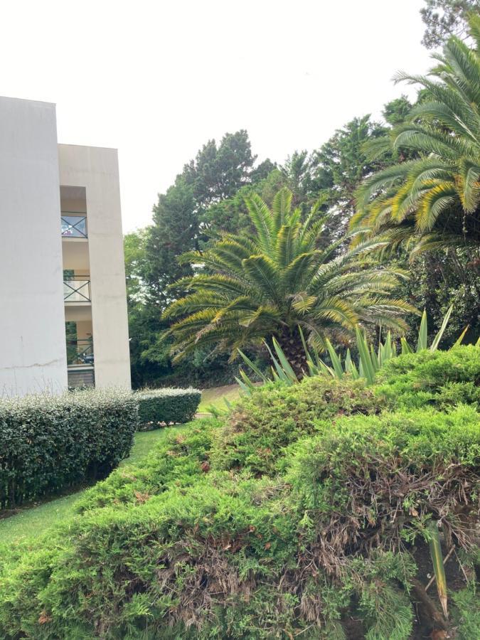 Studio Biarritz Aguilera 2 A 4 Pers Exteriör bild